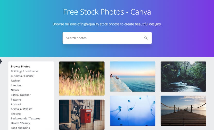 Canva free stock photo search page with nature and travel image previews