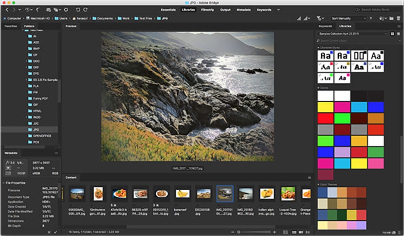 Adobe Bridge interface showing image previews, metadata, and color themes for efficient photo management.