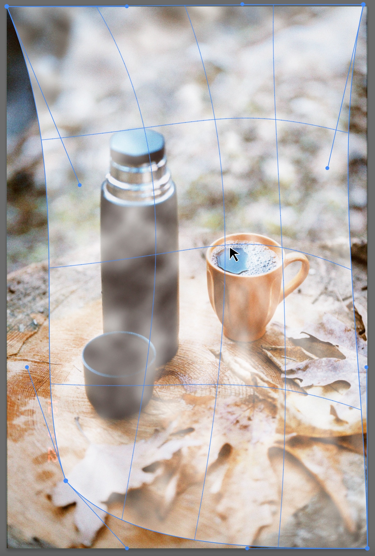 Photoshop warp tool applied to adjust image perspective with blue grid and control points