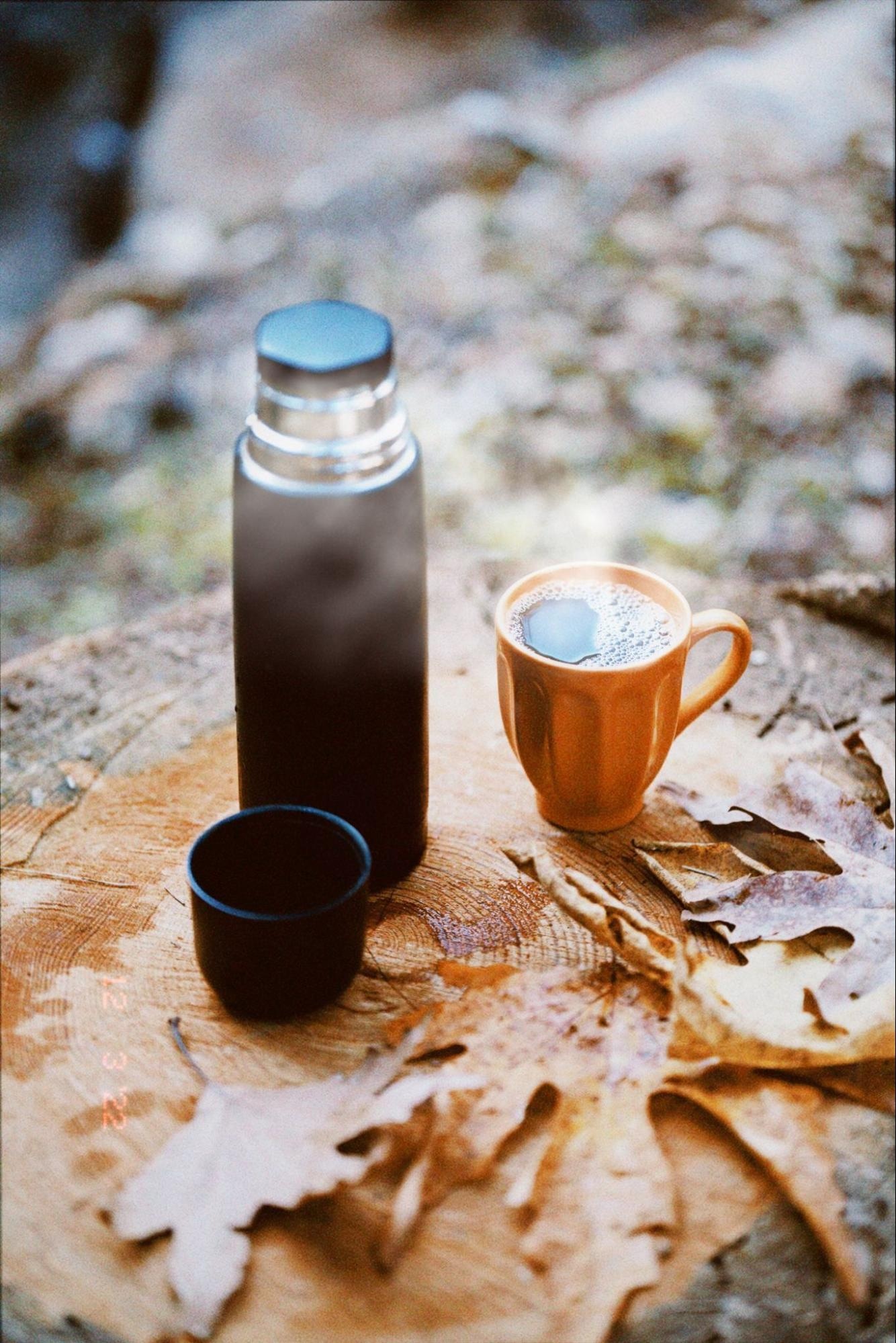 Thermos and orange coffee cup on a wood stump with scattered autumn leaves