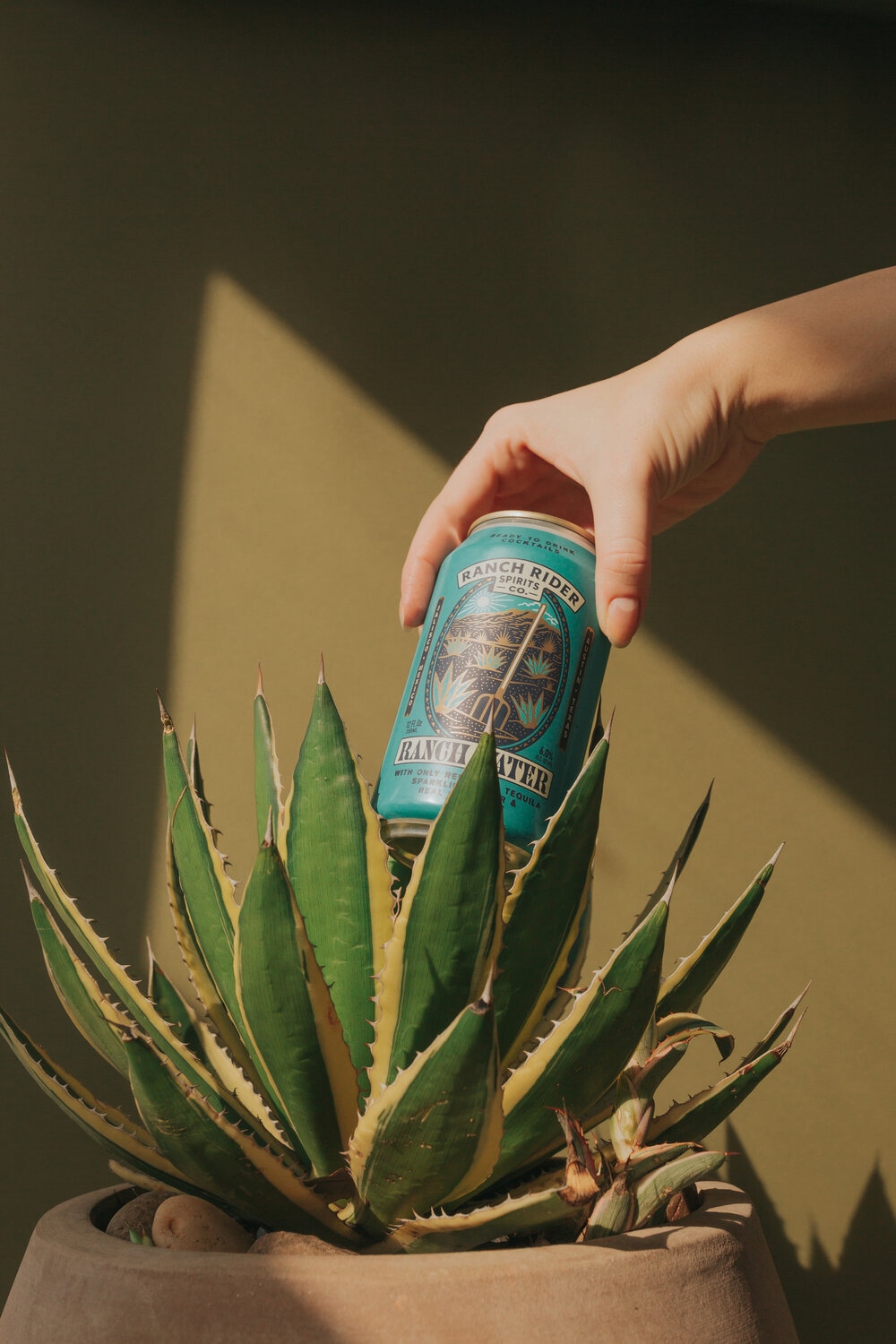 Hand holding Ranch Rider drink can above an agave plant, showcasing creative beverage photography.