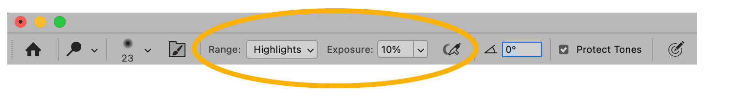 Photoshop Dodge tool settings showing range set to highlights, exposure at 10%, and protect tones enabled