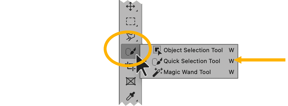 Photoshop toolbar with Quick Selection Tool highlighted, alongside Object Selection and Magic Wand options.
