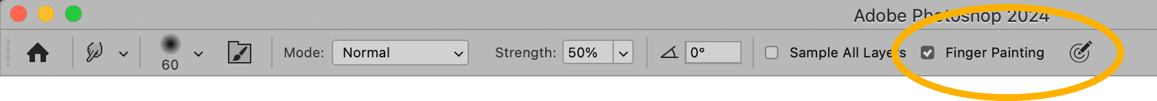 Adobe Photoshop options bar displaying settings for the Smudge Tool, including mode, strength, and the "Finger Painting" checkbox.