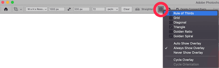 Photoshop crop tool options with Rule of Thirds overlay selected from overlay settings dropdown