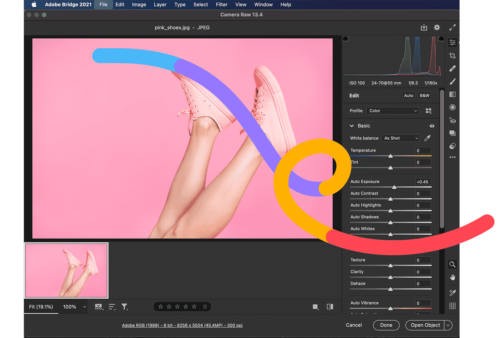 Adobe Bridge editing interface displaying color adjustments for an image of pink shoes on a pink background.