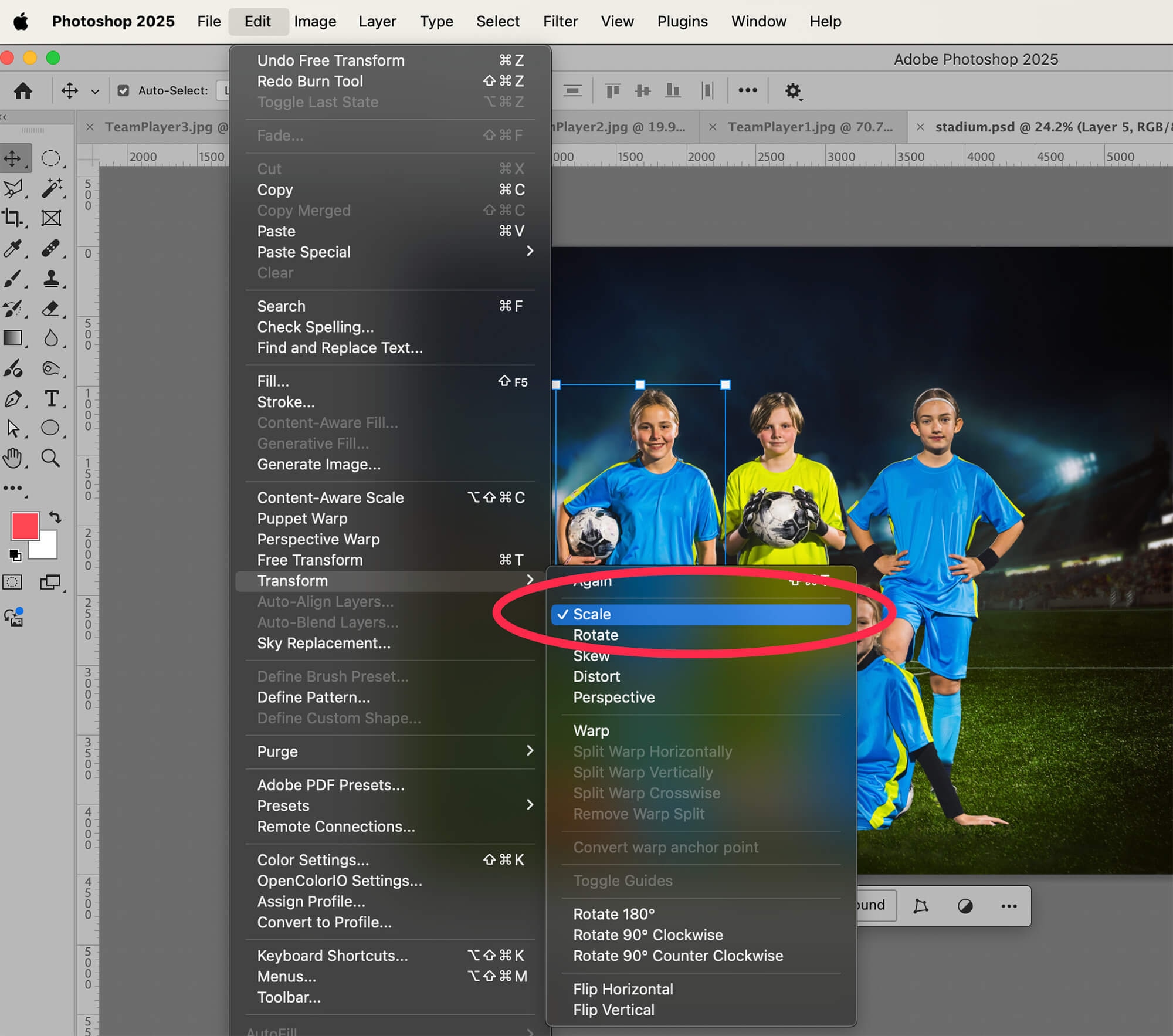 screenshot of Photoshop editing, transforming images to scale