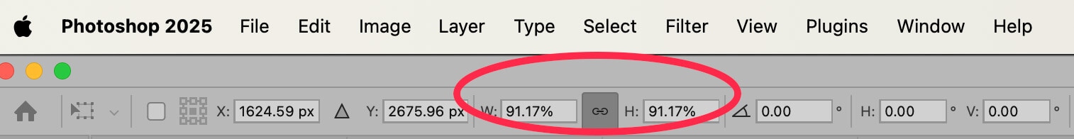Photoshop 2025 toolbar, highlighting scale