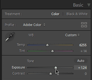 Image showing precise adjustments to exposure and white balance for photo clarity