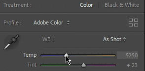 Manual temperature and tint sliders for precise white balance adjustment in photo editing