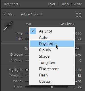 White balance presets for image editing displaying a range of temperature adjustments for natural color balance