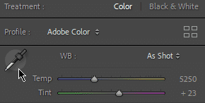 White balance selector tool featuring adjustable color temperature for accurate photo correction
