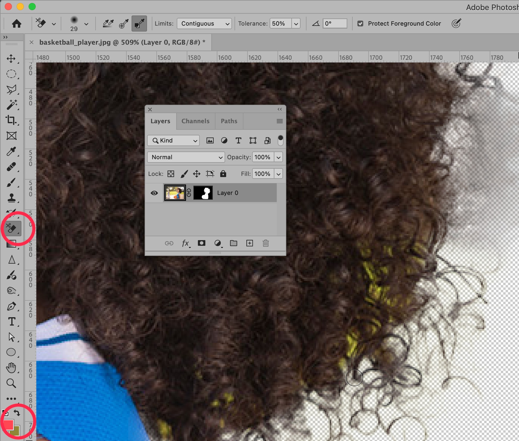 Photoshop 2025 close-up view of masking curly hair using the Brush Tool and selection refinement tools on a transparent background.