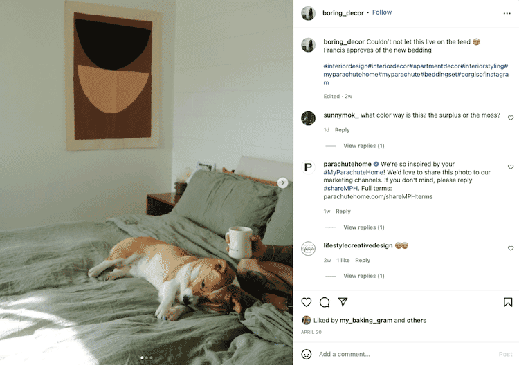 Customer sharing cozy bedroom setup with Parachute bedding and resting corgi