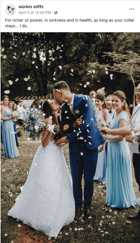 Bride and groom kissing at wedding ceremony, groom wearing Würkin Stiffs collar stays
