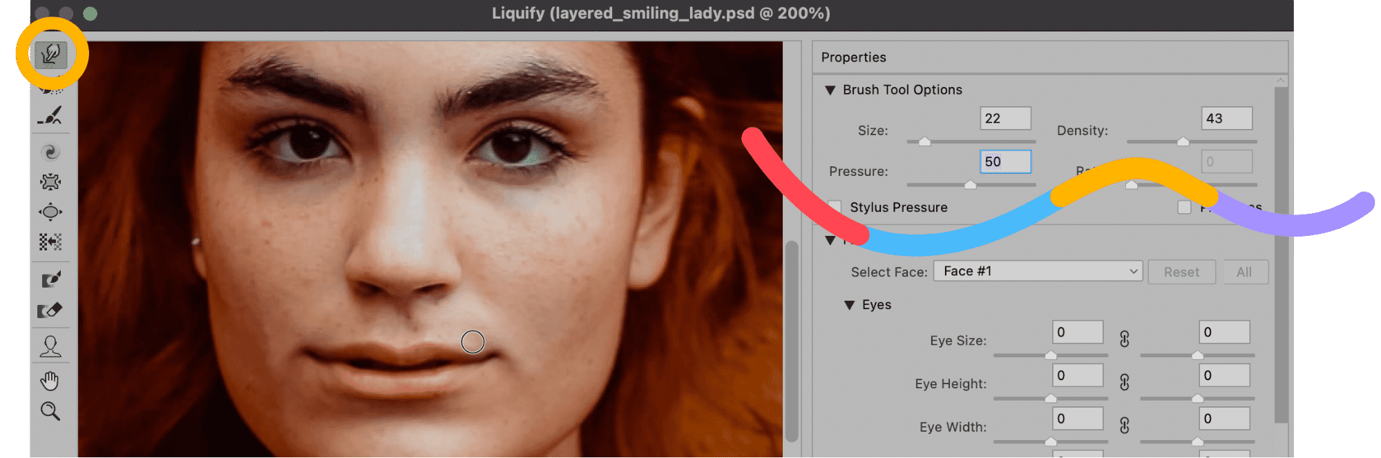 Photoshop Liquify panel with brush tool options for detailed smile adjustments