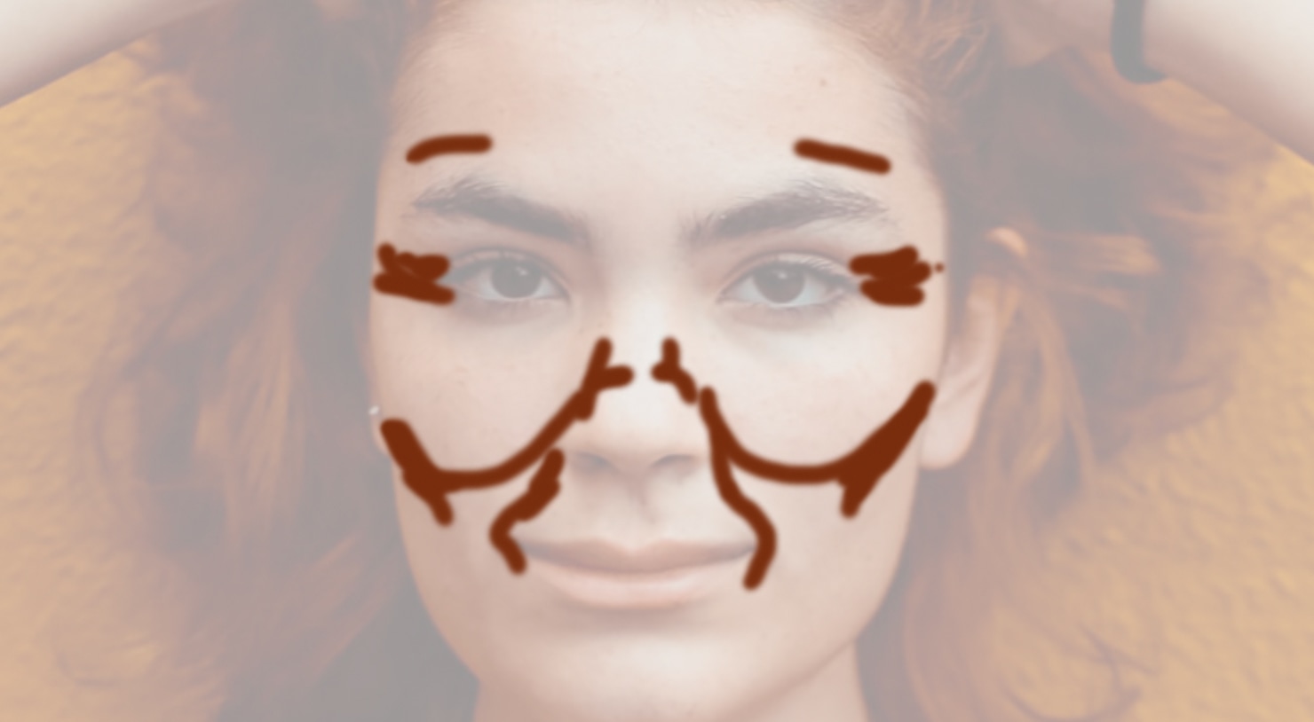 Overlay of mapped facial areas for detailed retouching in Photoshop