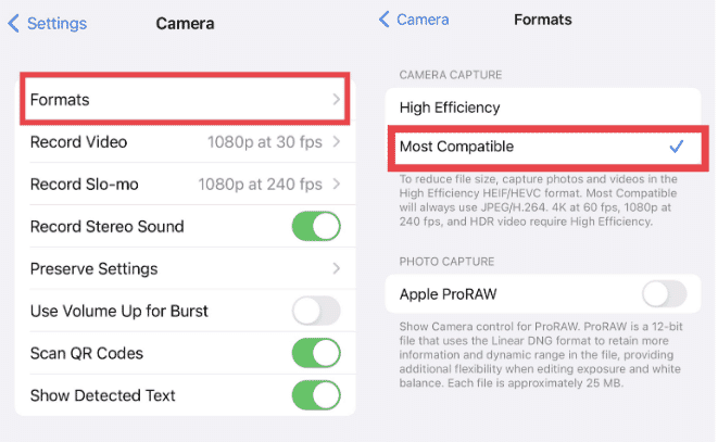 iPhone Camera settings showing format options for High Efficiency and Most Compatible for photo and video capture
