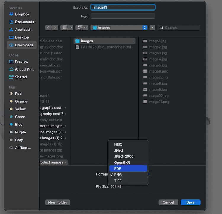 Mac export dialog showing options to save a file in formats like PDF, PNG, TIFF, and JPEG