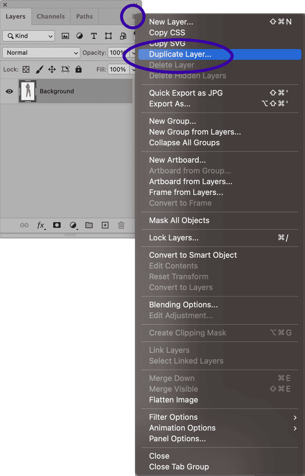 Photoshop menu showing Duplicate Layer option for layer editing