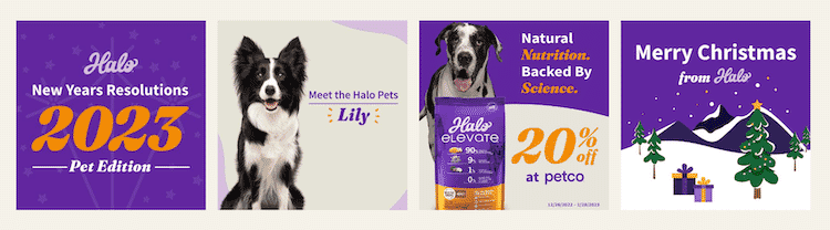 Halo pet promotions banner with 2023 resolutions, Christmas greetings, and product discount.