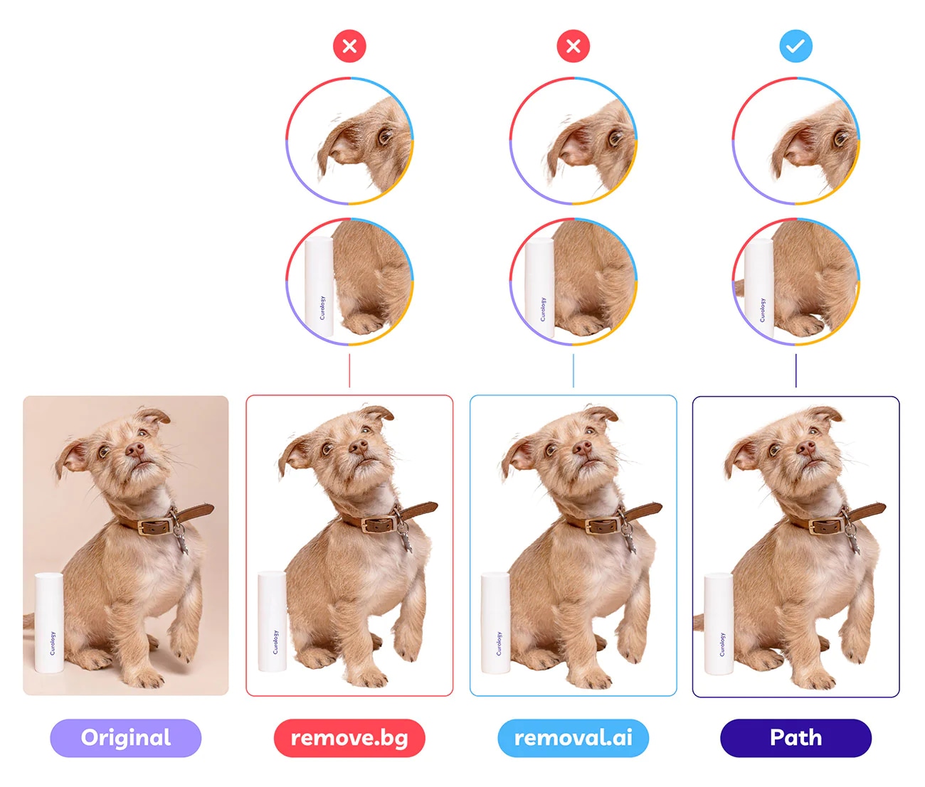 Comparison of background removal results for dog image by remove.bg, removal.ai, and Path