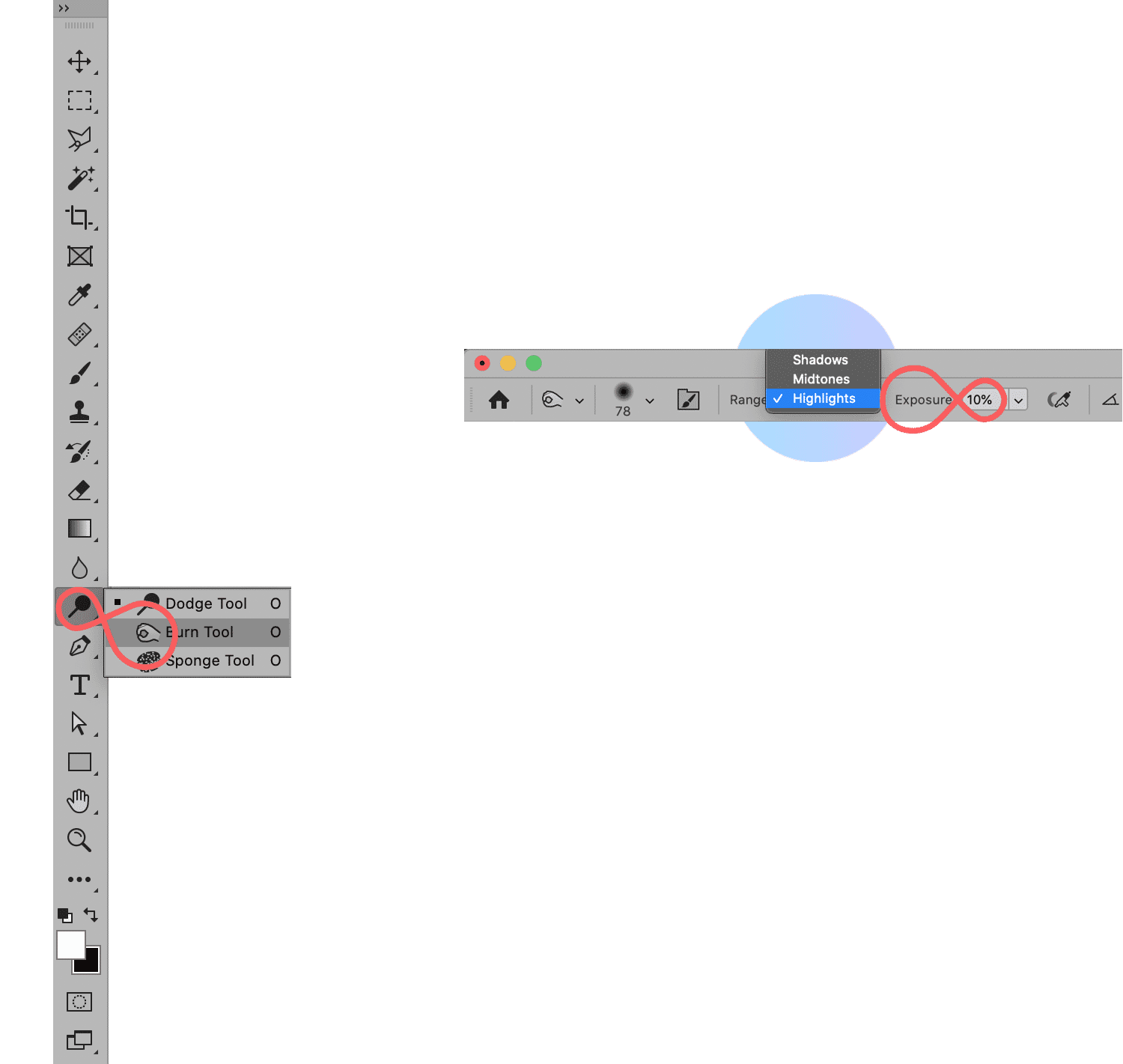 Photoshop interface showing the Dodge Tool selected with exposure set to 10% for enhancing highlights.
