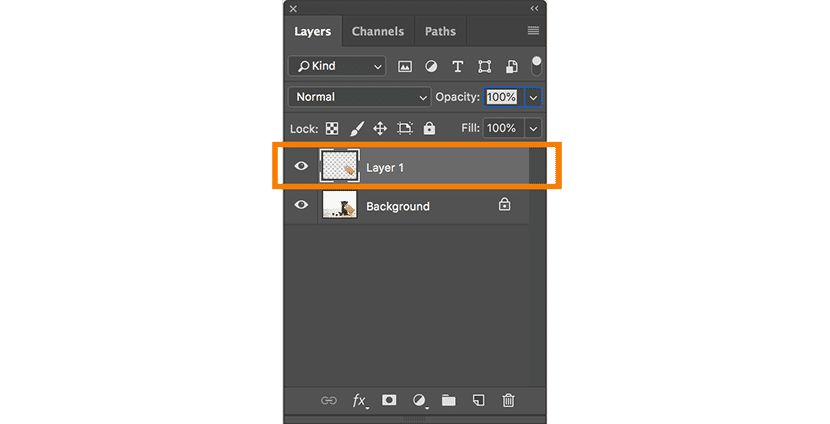 Photoshop Layers panel displaying a new layer named "Layer 1" above the background layer