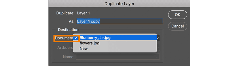 Photoshop Duplicate Layer dialog box showing document selection for layer duplication