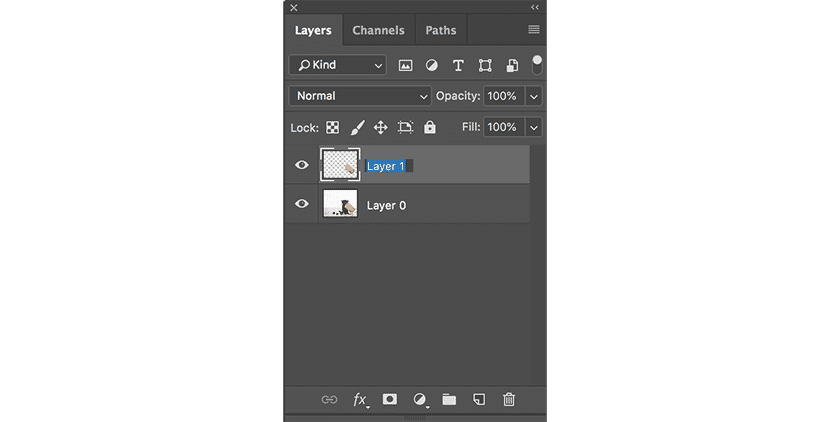 Photoshop Layers panel with "Layer 1" selected above the background layer