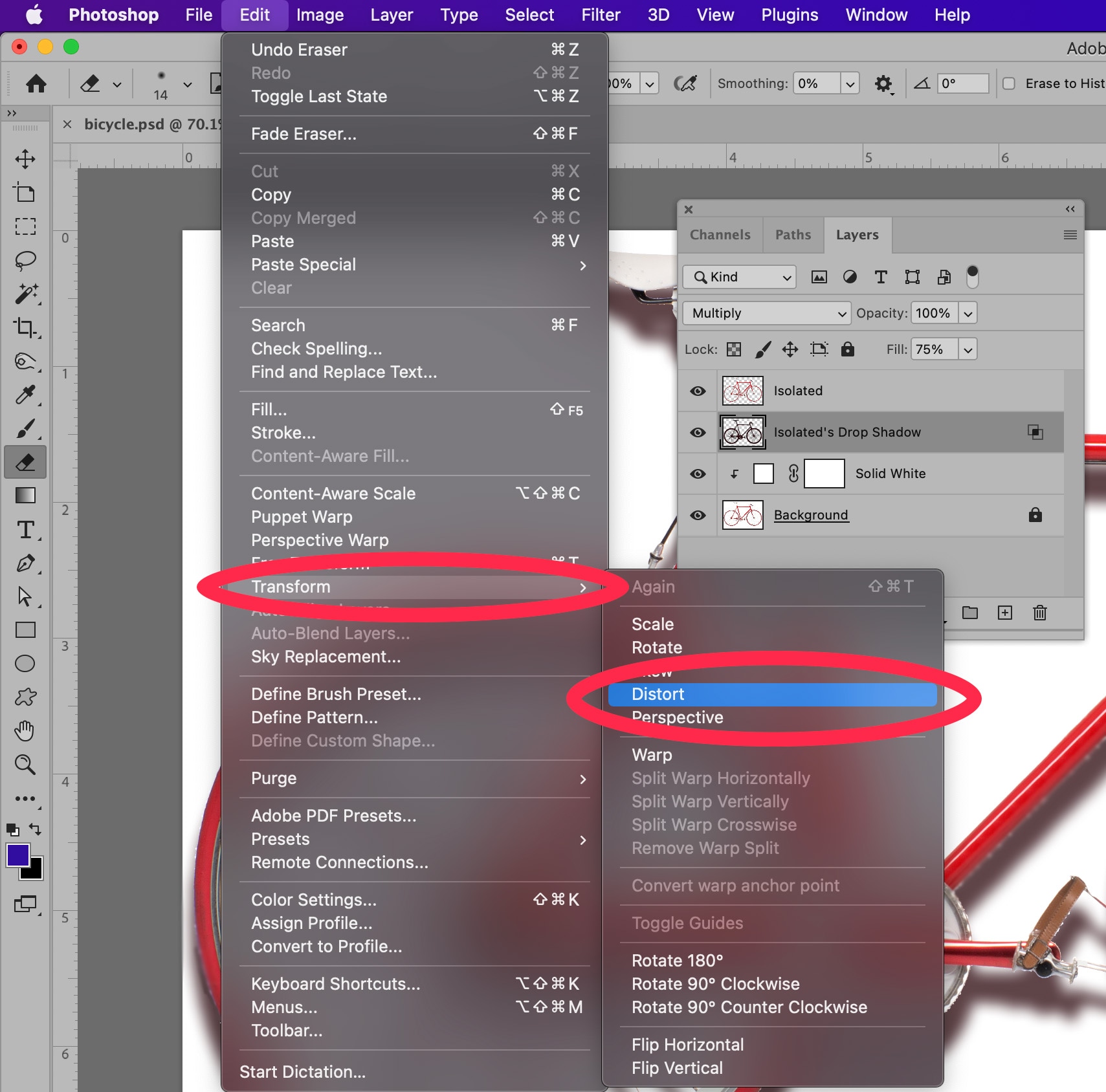 Photoshop Edit menu open with Transform and Distort options highlighted.