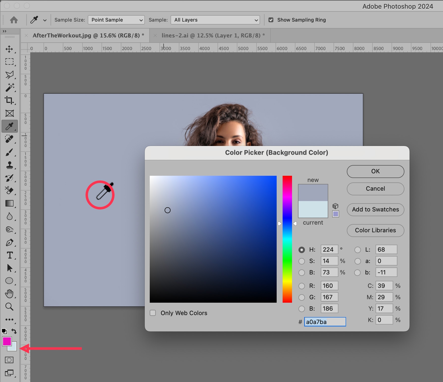 Photoshop Color Picker for selecting image background color to aid background removal process.