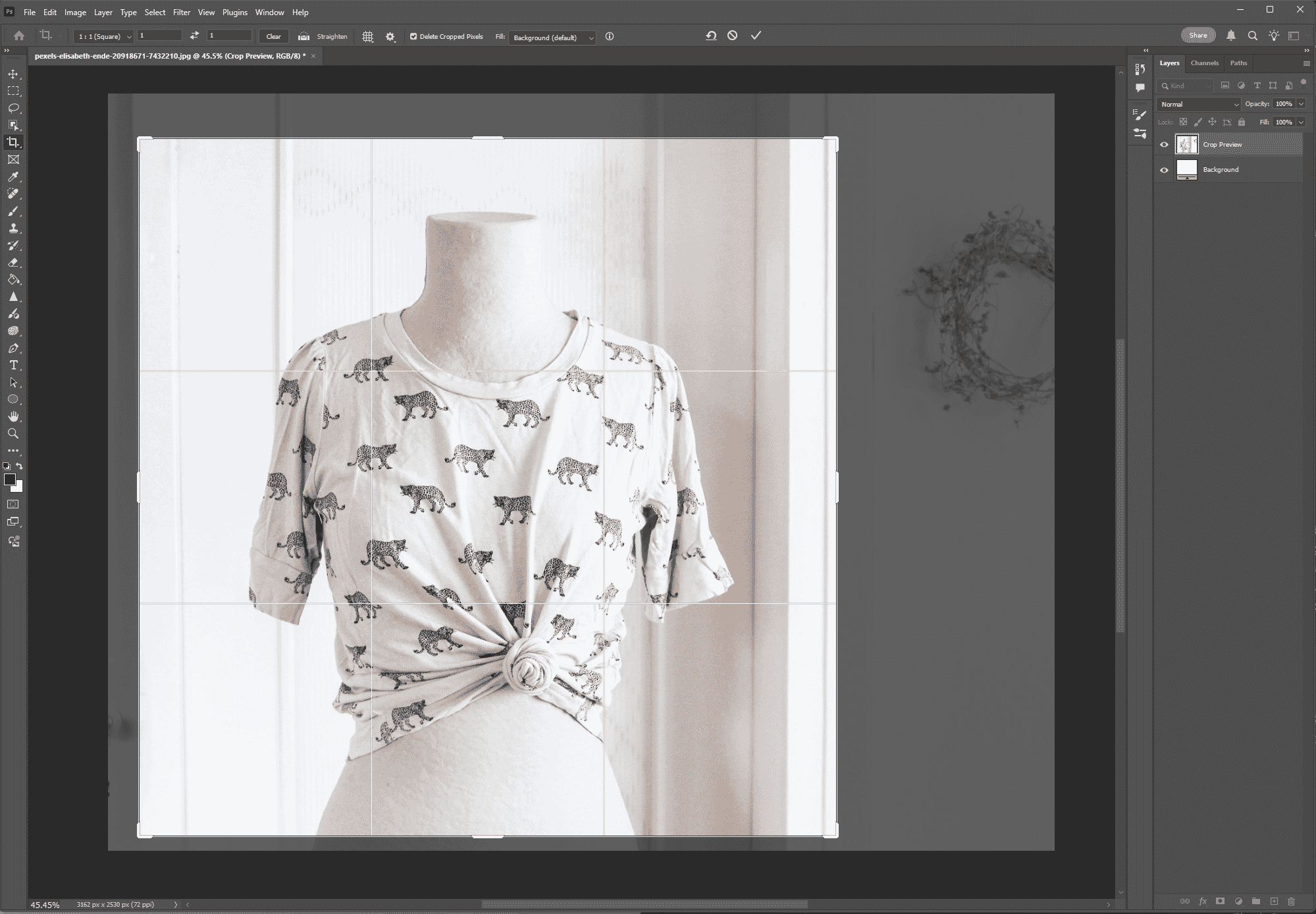 Cropped view of a leopard print knotted T-shirt on a mannequin inside Photoshop, with symmetrical framing adjustments applied using grid alignment tools.