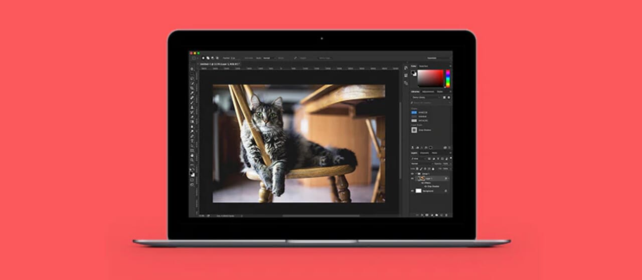 Procreate digital art software interface displayed on an iPad screen