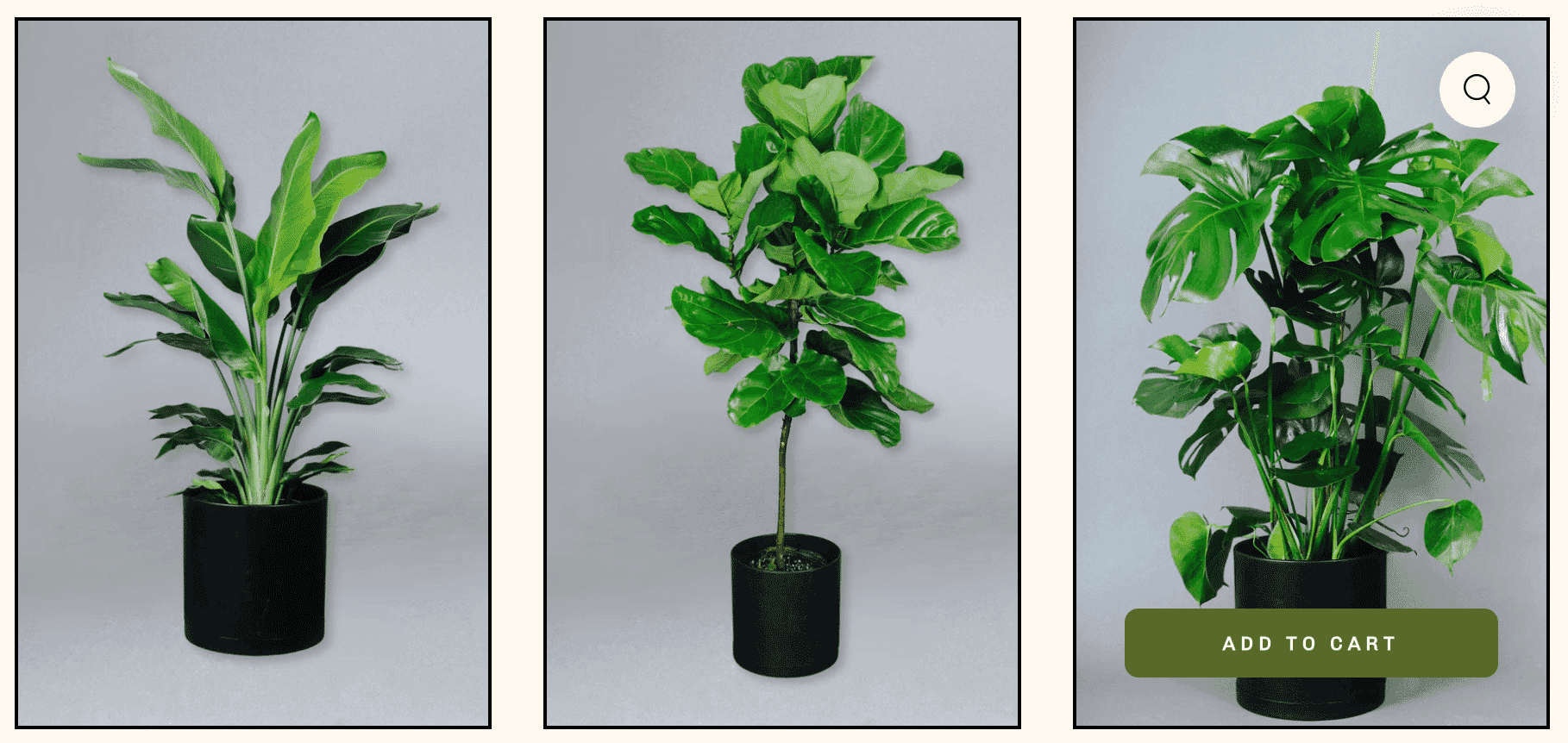 Three artificial indoor plants: banana leaf, fiddle leaf fig, and monstera in black pots on a gray background.