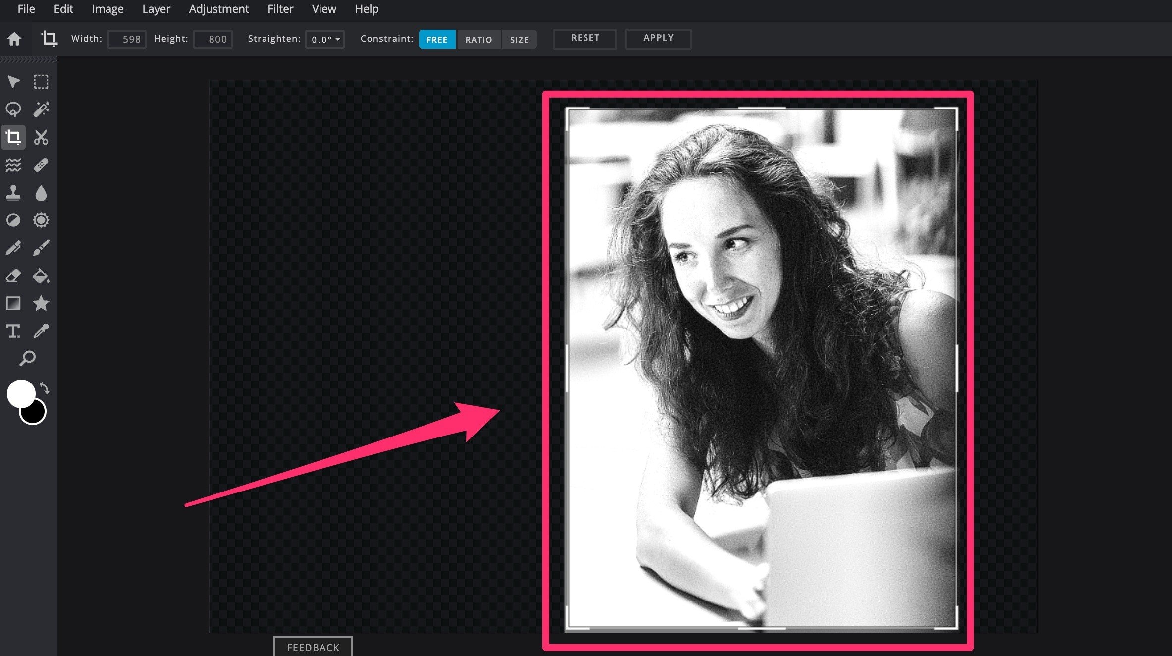 Pixlr interface with the crop tool highlighted, used for resizing and adjusting image composition of a black-and-white portrait.