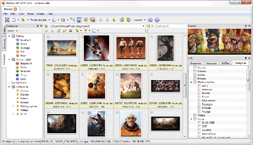 XnView MP interface displaying an organized gallery of images with folder navigation and preview options.