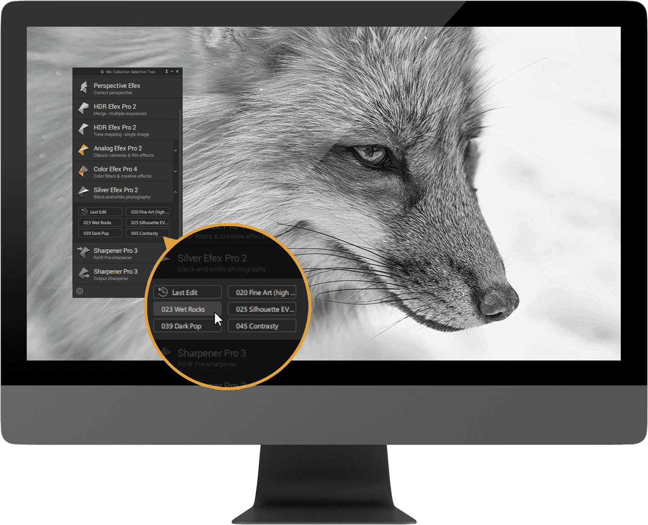 Monitor displaying a black and white fox photo edited in Silver Efex Pro with selective tool settings.