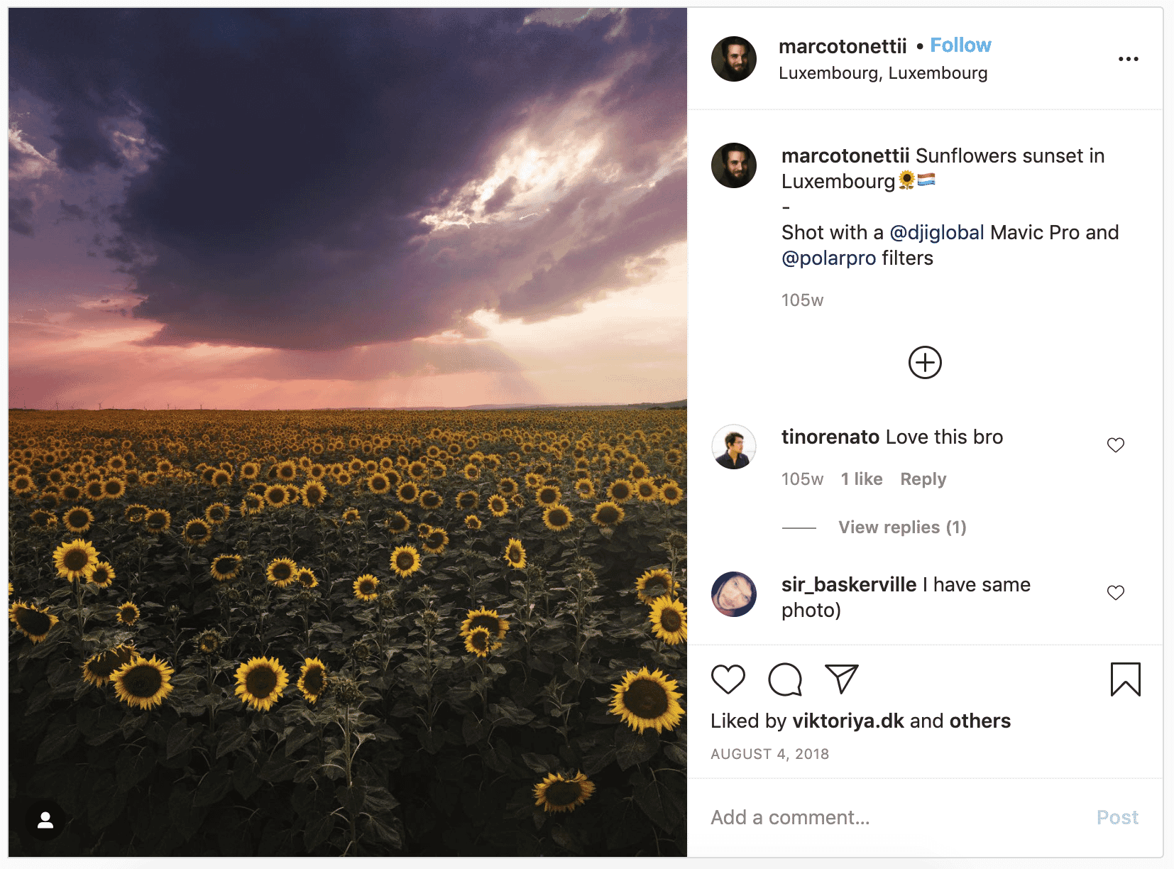 Aerial view of sunflower field at sunset in Luxembourg with dramatic clouds, captured with a DJI drone.