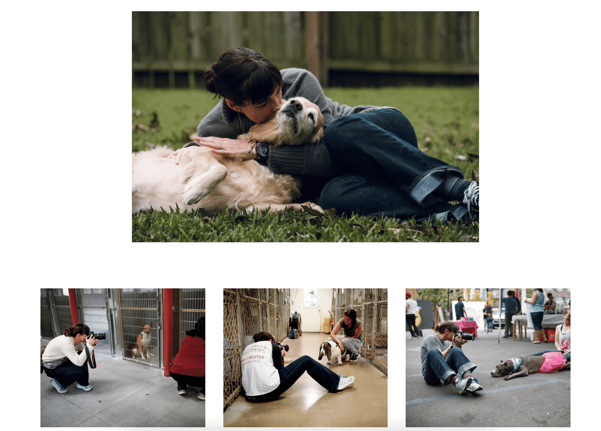 Photographer captures tender moments with shelter animals, including a person hugging a dog on grass and interactions with animals in kennels.